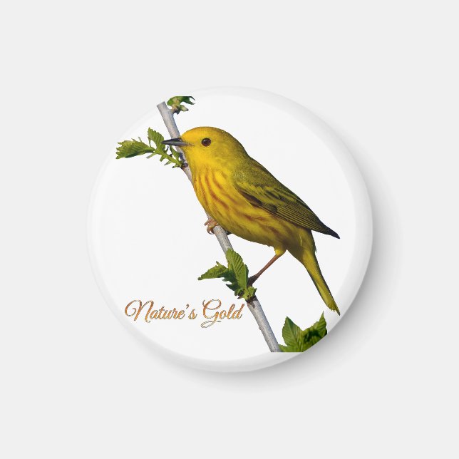 Yellow Warbler “Nature’s Gold” Magnet (Front)