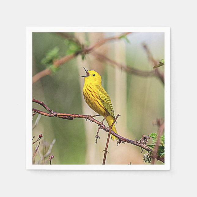 Yellow Warbler Singing Napkins (Front)