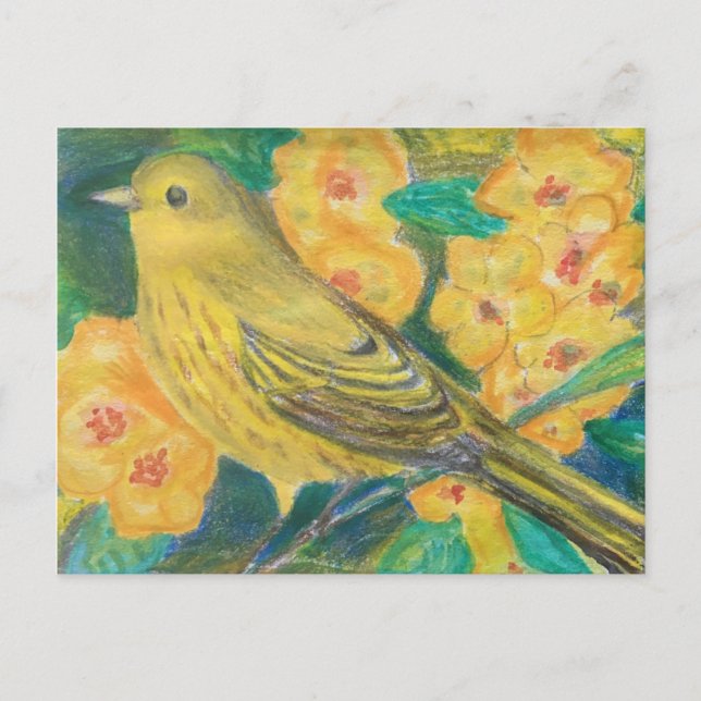 Yellow Warbler Yellow Roses Garden Watercolor Postcard (Front)
