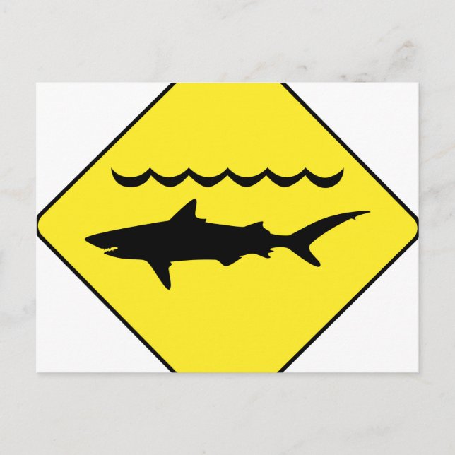 Yellow 'warning sharks' sign postcard (Front)