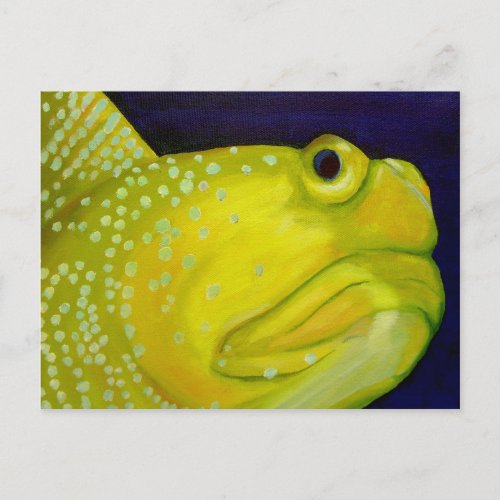 Yellow Watchman Goby Fish Postcard