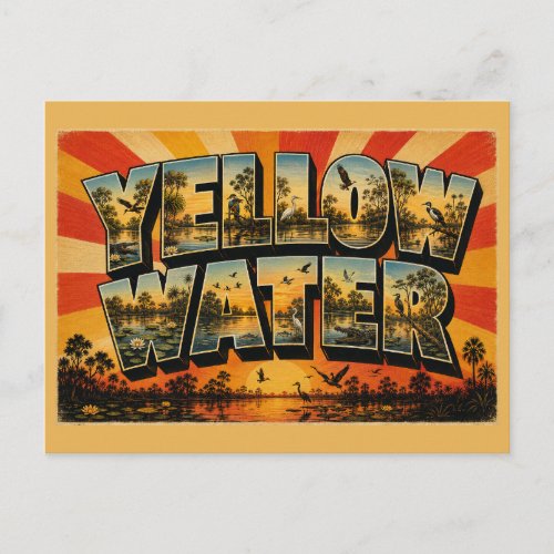 Yellow Water Billabong NT Australia Postcard