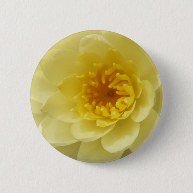 Yellow Water Lily Button (Front)
