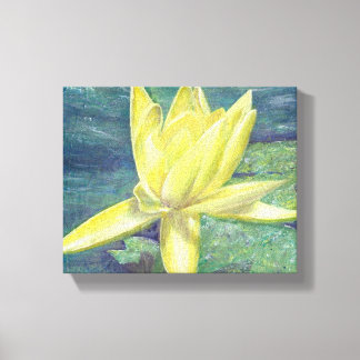 Yellow Water Lily Canvas Print