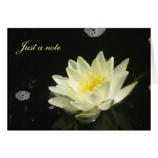 Yellow Water Lily Cards
