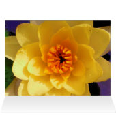 Yellow Water lily Cards (Inside Horizontal (Top))