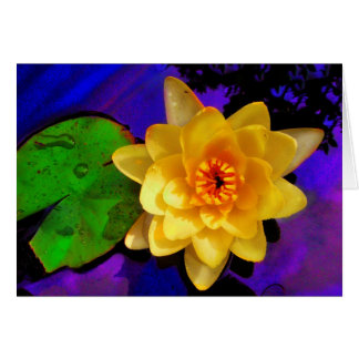 Yellow Water lily Cards