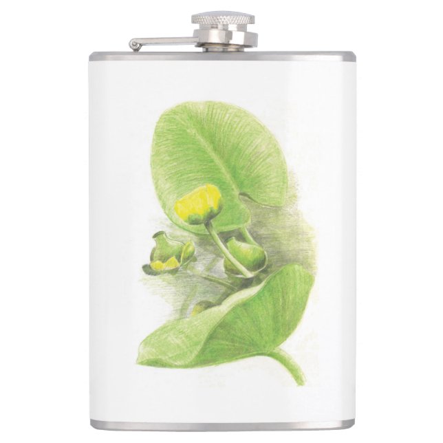 Yellow water Lily pencil sketch Flask (Front)