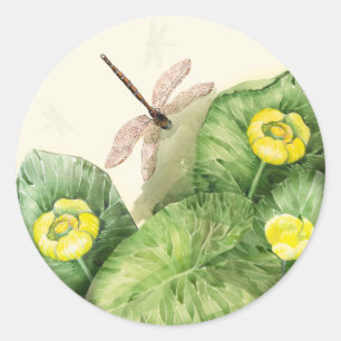 yellow water-lily watercolor classic round sticker