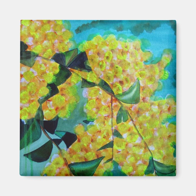Yellow Wattle Australian native flower art magnet (Front)