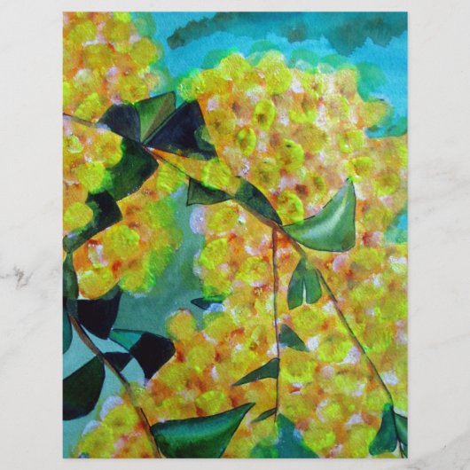Yellow Wattle native Australian flower art (Front)