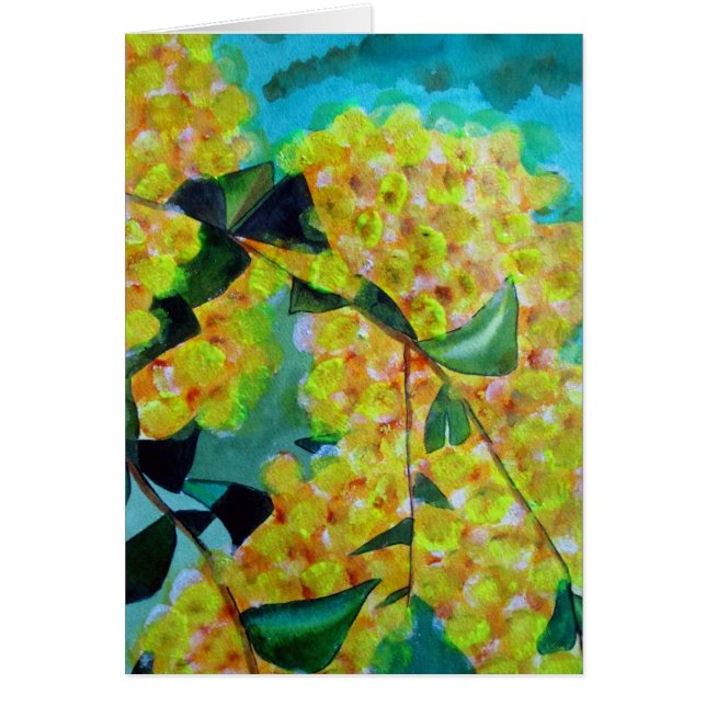 Yellow Wattle native Australian flower art Cards (Front)