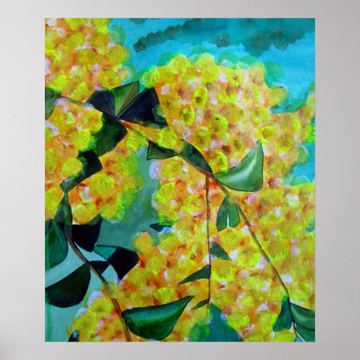 Yellow wattle native Australian flower art poster | Zazzle