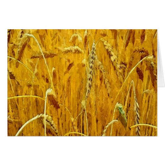Yellow Wheat Field Cards (Front Horizontal)