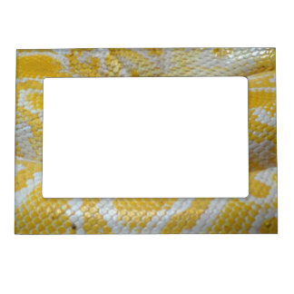 YELLOW WHITE BOA SNAKE SKIN TEXTURES REPTILES PATT MAGNETIC PHOTO FRAME