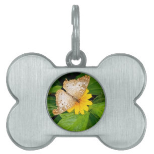 yellow white butterfly moth pet ID tag