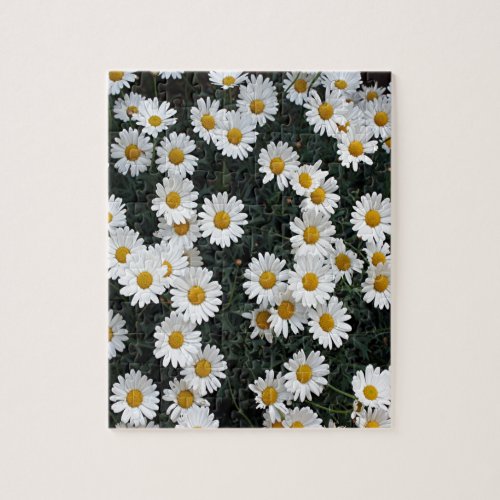 Yellow  white daisies jigsaw puzzle