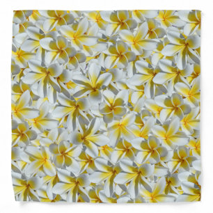 Yellow White Frangipanis Cluster, Bandana