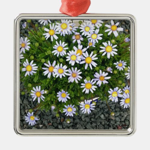 Yellow White Margarita Flowers with Grey Pebbles Metal Ornament