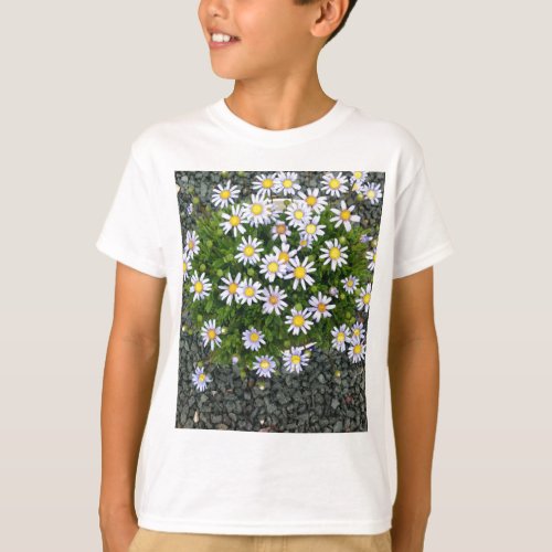 Yellow White Margarita Flowers with Grey Pebbles T_Shirt