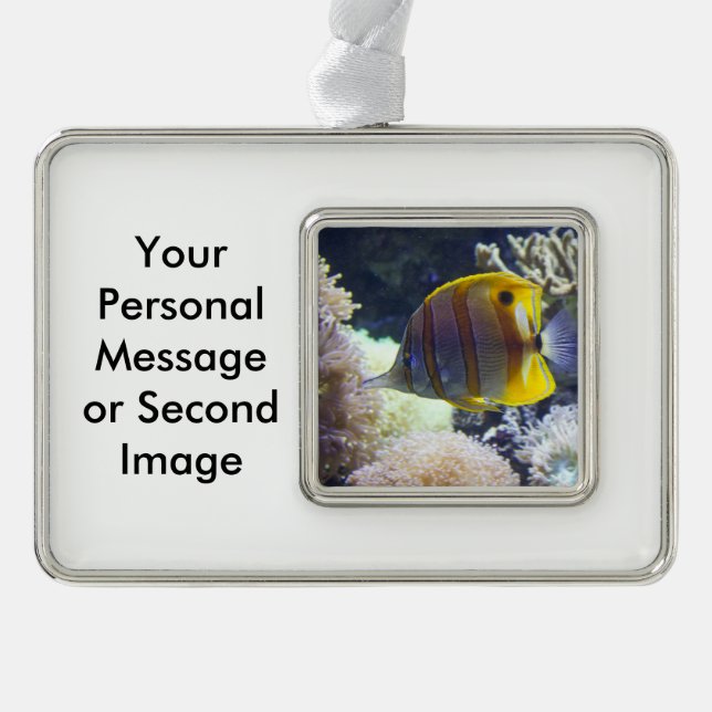 yellow & white Saltwater Copperband Butterflyfish Christmas Ornament (Front)