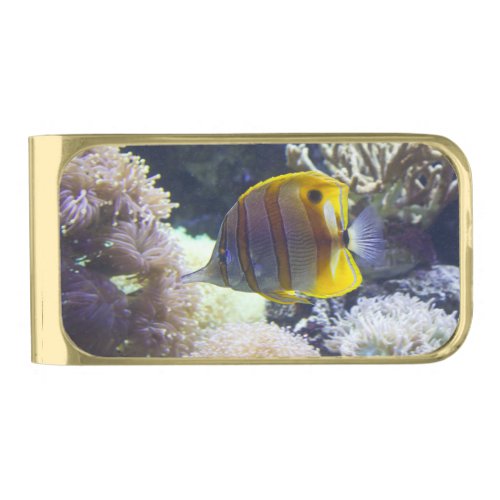 yellow  white Saltwater Copperband Butterflyfish Gold Finish Money Clip