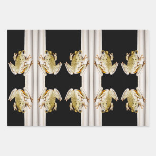 Yellow White Tree Frog on Windowsill Wrapping Paper Sheets