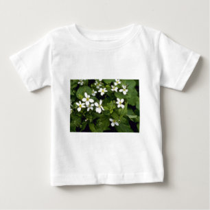 Yellow White Violet (Viola Canadensis) flowers Baby T-Shirt
