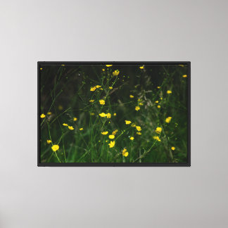 Yellow wild flowers Stretched Canvas Print