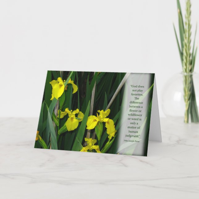 Yellow Wild Irises Card (Front)