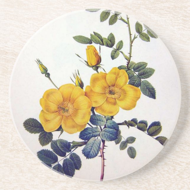 Yellow Wild Roses, Pierre Joseph Redouté Sandstone Coaster (Front)