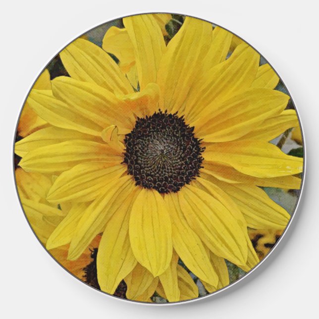 Yellow Wild Sunflower Charger (Front)