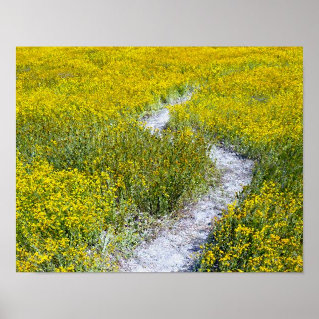 Yellow Wildflower Field Landscape Poster (Front)