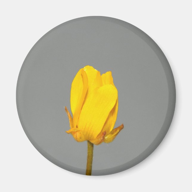 Yellow Wildflower Magnet (Front)