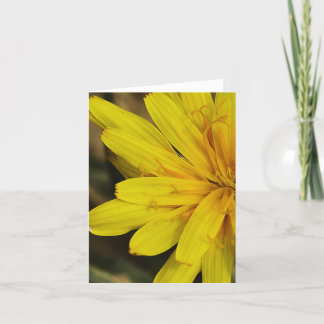Yellow Wildflower Notecard (2010)