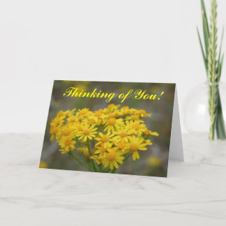 Yellow Wildflowers Card