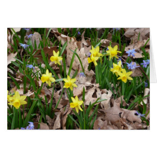Yellow wildflowers cards