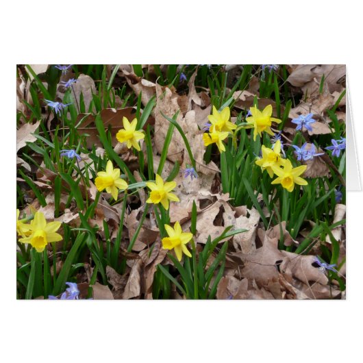 Yellow wildflowers cards (Front Horizontal)