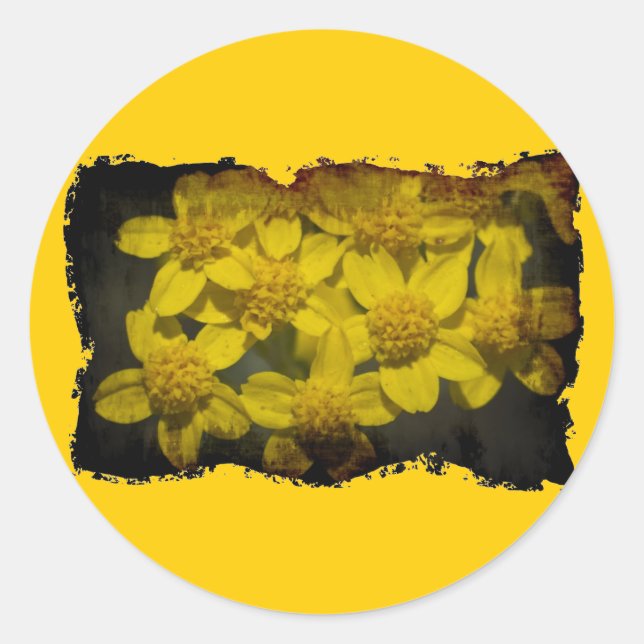 Yellow Wildflowers Classic Round Sticker (Front)