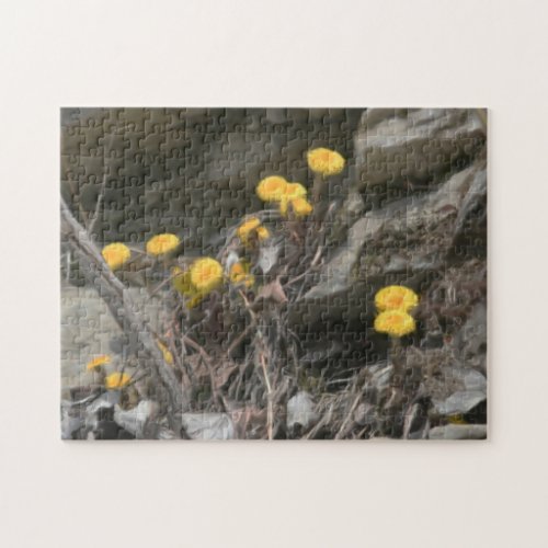 Yellow Wildflowers In Rocks Oil Painting  Jigsaw Puzzle