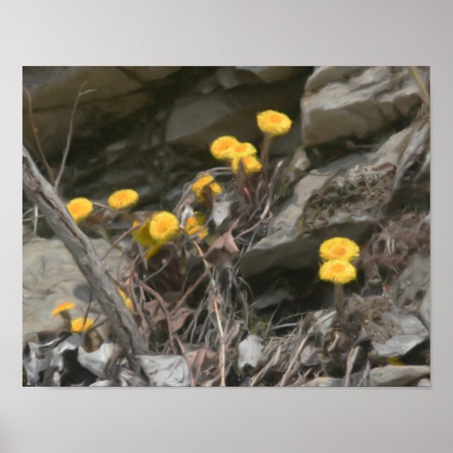 Yellow Wildflowers In Rocks Oil Painting Poster (Front)
