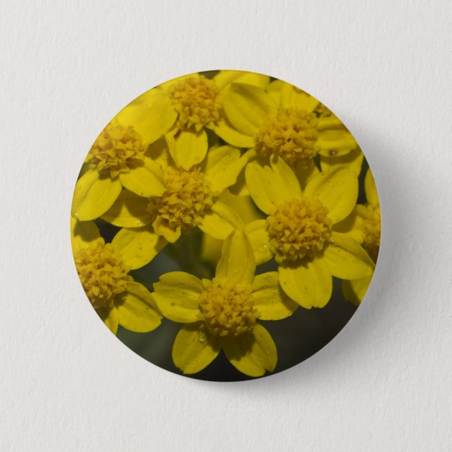 Yellow Wildflowers Pinback Button (Front)