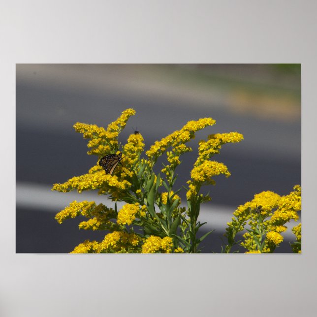 Yellow Wildflowers with Butterfly Poster (Front)