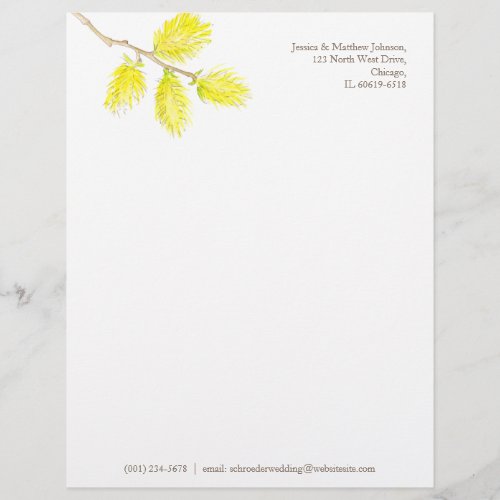 Yellow willow catkins watercolor art letterhead