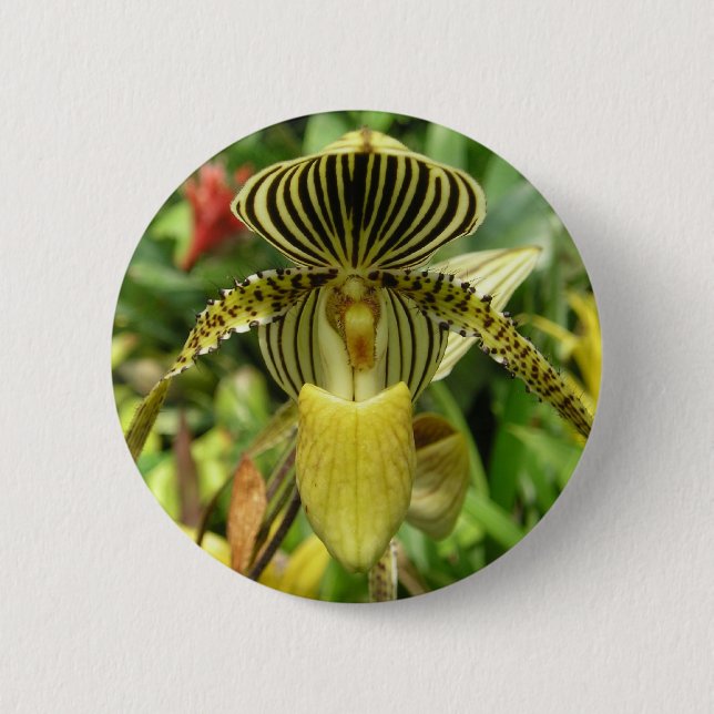 Yellow Zebra Stripes Orchid Pinback Button (Front)