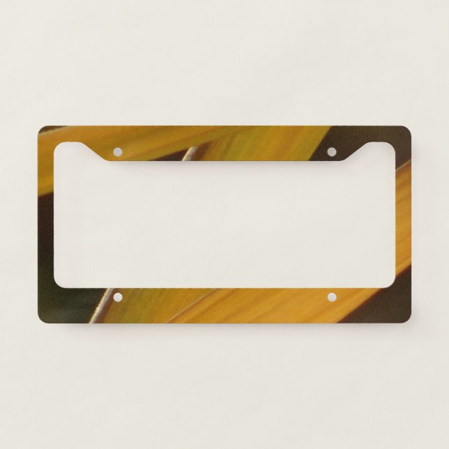 Yellow zigzag license plate frame (Front)