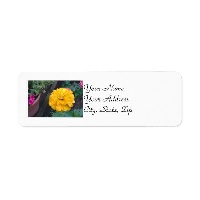 Yellow Zinnia Label (Front)