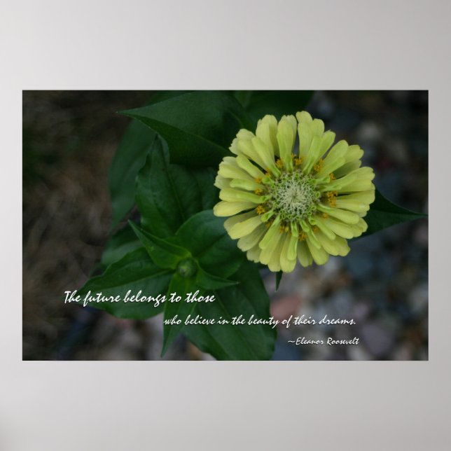 Yellow Zinnia with quote by Eleanor Roosevelt Poster (Front)