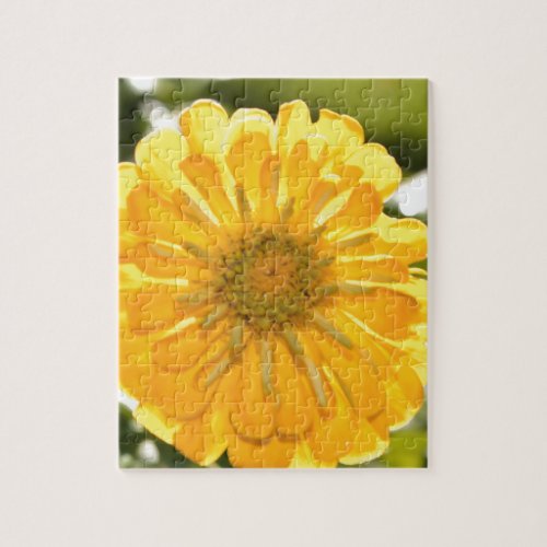 Yellow zinnia yellow daisy yellow flower jigsaw puzzle