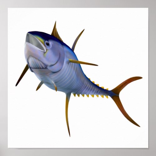 Yellowfin Tuna on White Poster